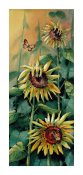 Giant sunflowers - Greeting Card
