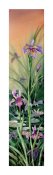 Les iris du marais - Carte