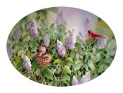 The lilacs and the cardinals - Greeting Card