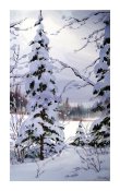 A truly heavy snowfall - Greeting Card