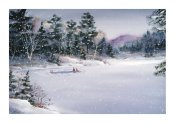 A winter on the lake - Greeting Card