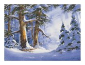 Les arbres majestueux - Greeting Card