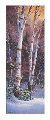 Les sentinelles des bois - Greeting Card