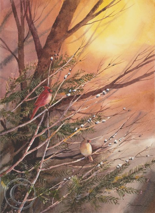 Les cardinaux rouges