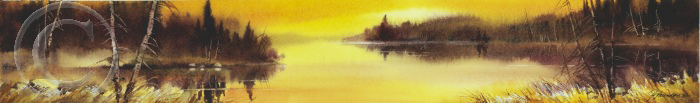 Les rivages mimosas