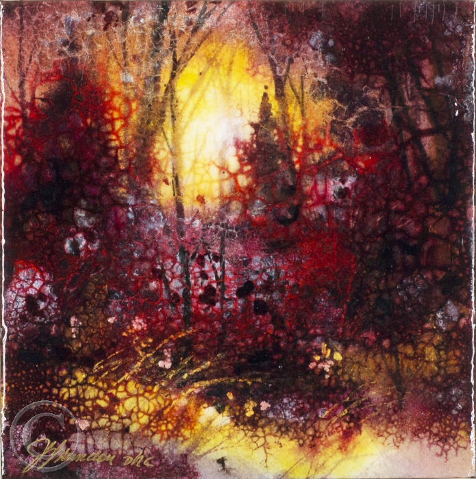 Le sous-bois mystérieux
