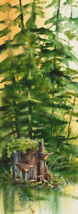 La souche et les polypores