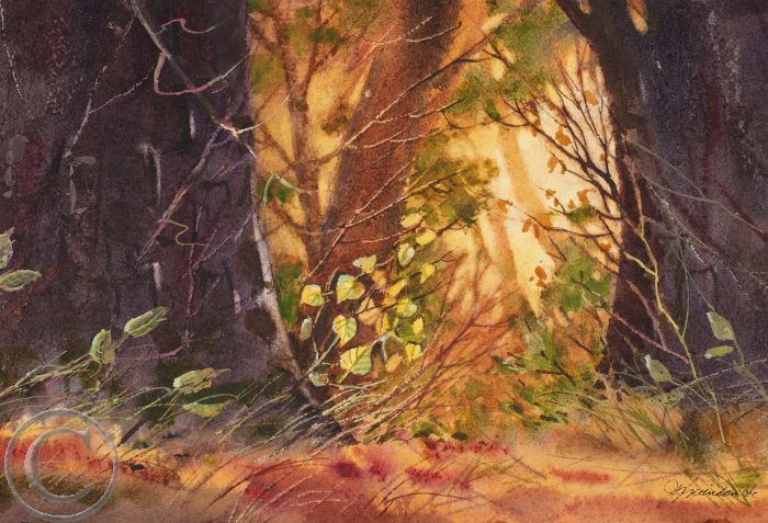 Quelques feuilles